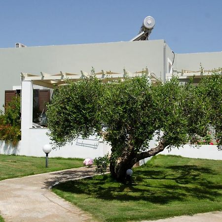 Villa Dimitris Palekastro Exteriér fotografie